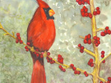 Louise - Red Cardinal